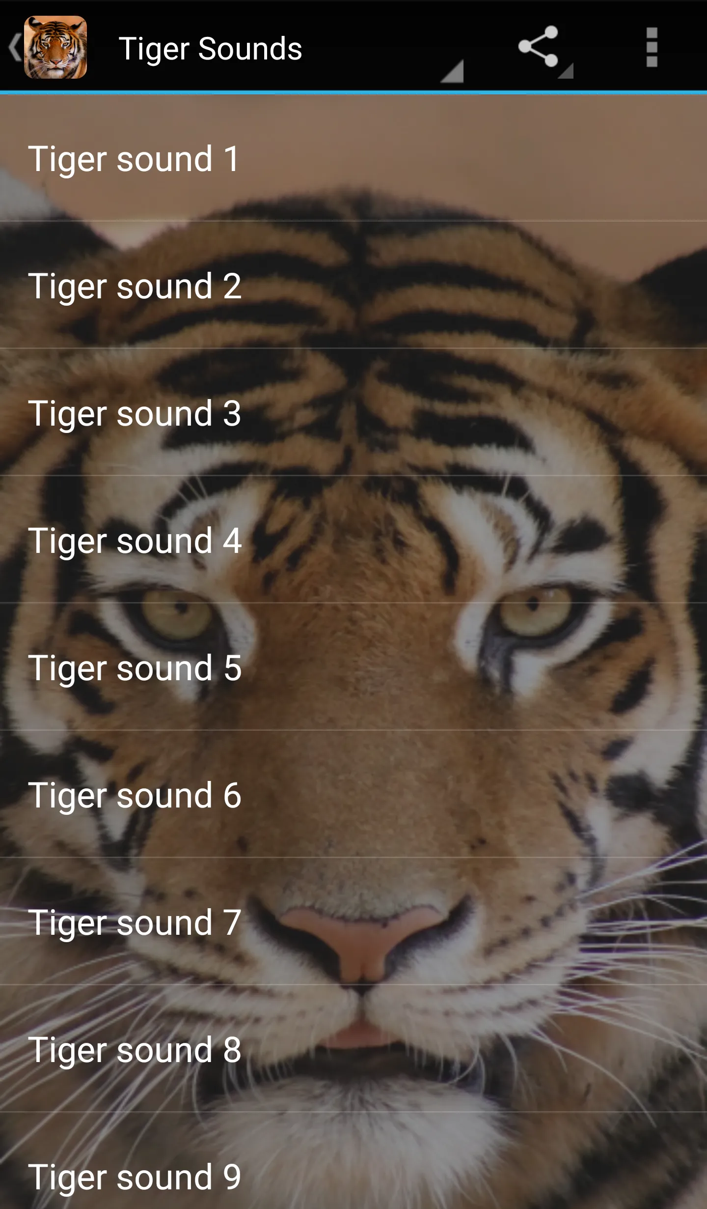 Tiger Sounds | Indus Appstore | Screenshot