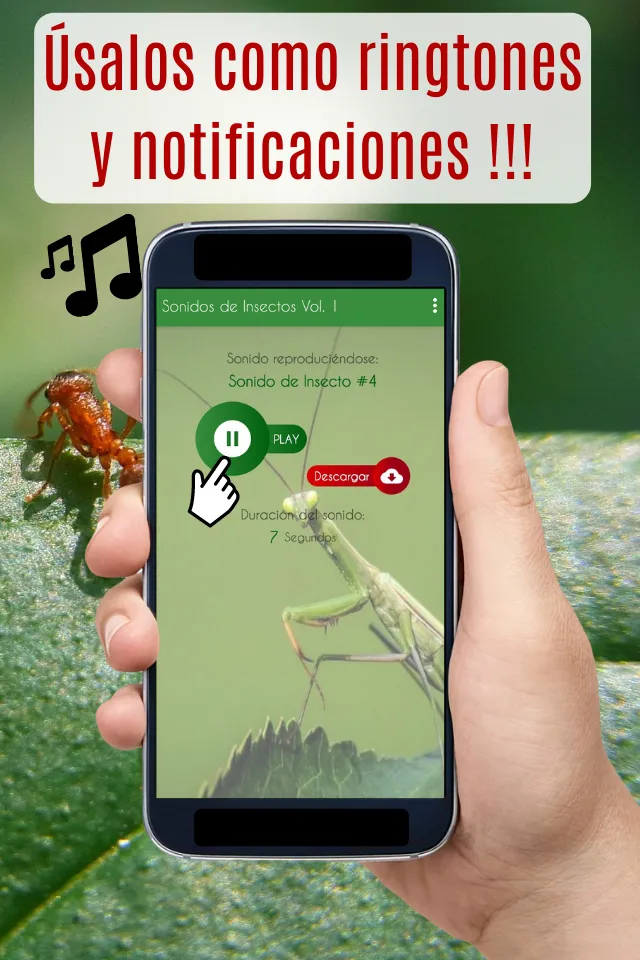 Sonidos de Insectos, zumbidos. | Indus Appstore | Screenshot