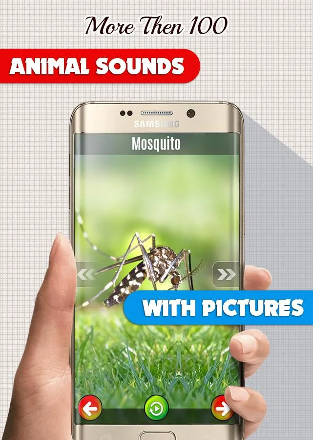 Animal Sounds: With Images | Indus Appstore | Screenshot