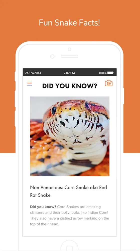 SnakeSnap! | Indus Appstore | Screenshot