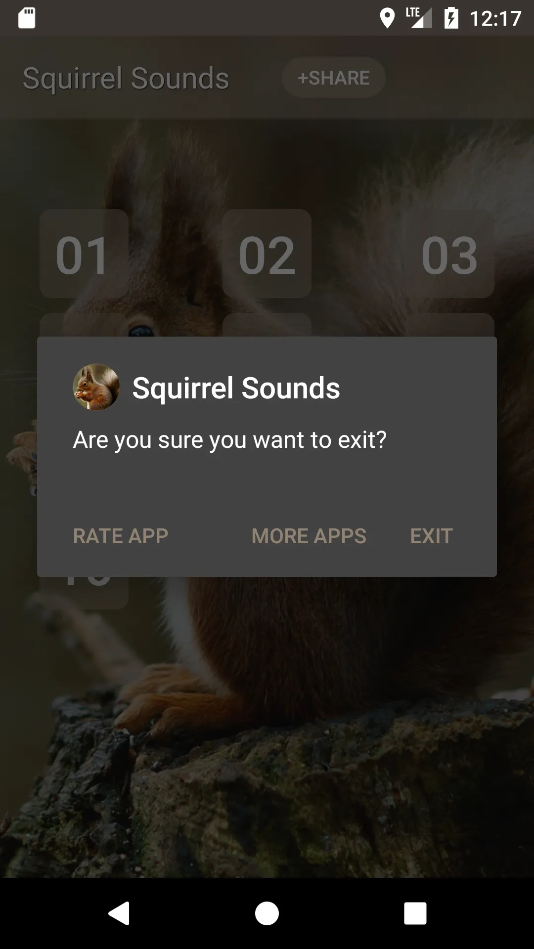 Squirrel Sounds | Indus Appstore | Screenshot