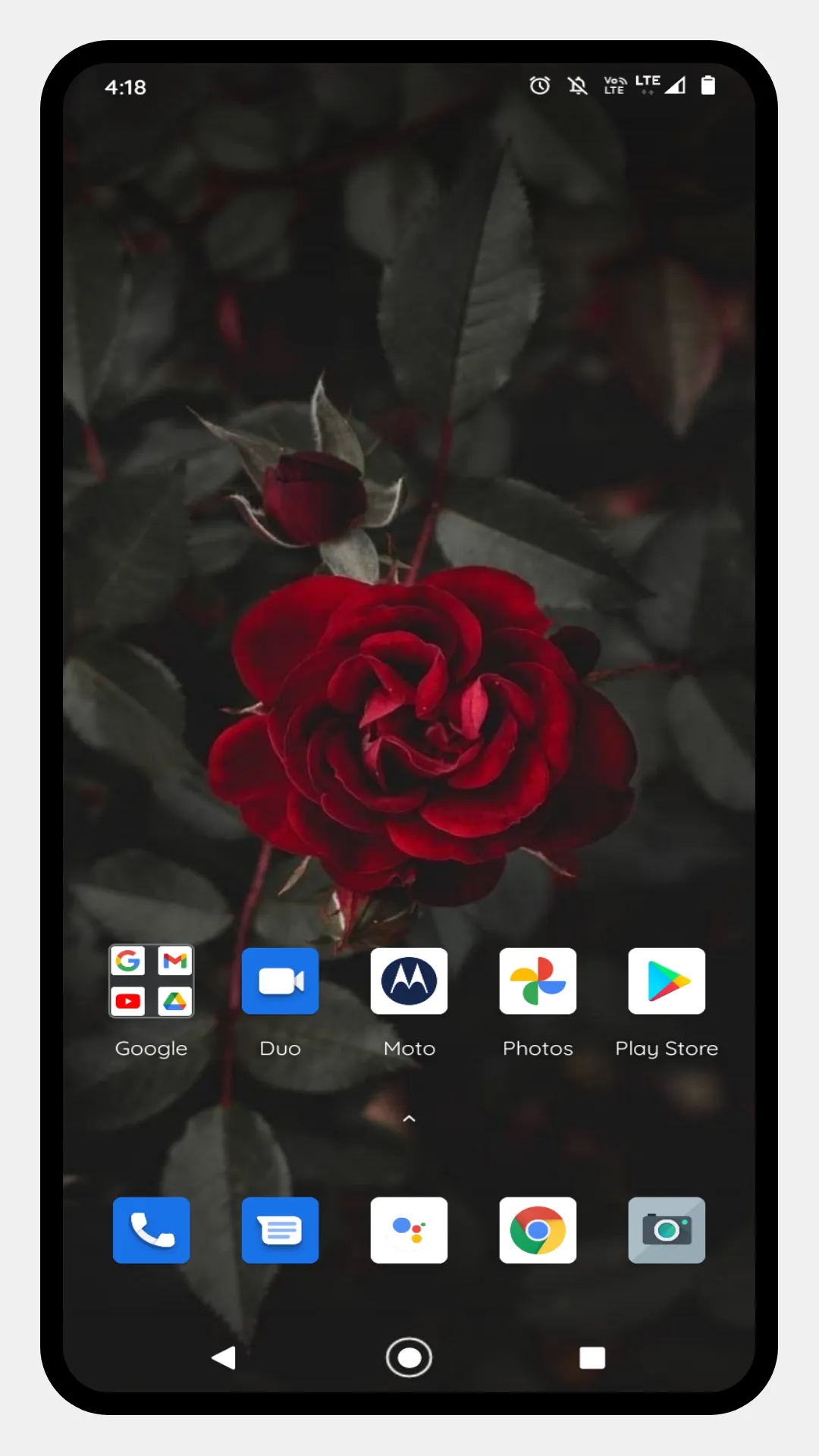 Red Rose HD Wallpapers | Indus Appstore | Screenshot