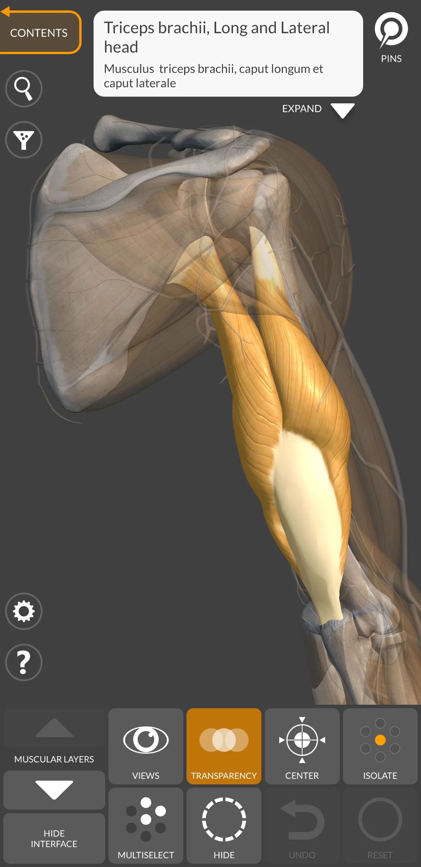 3D Anatomy for the Artist | Indus Appstore | Screenshot