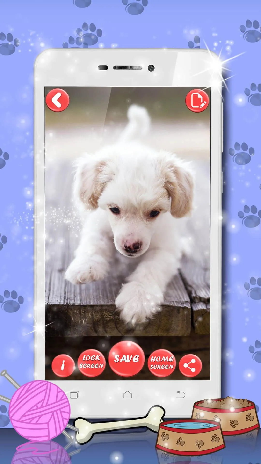 Cute Cat & Dog Live Wallpapers | Indus Appstore | Screenshot