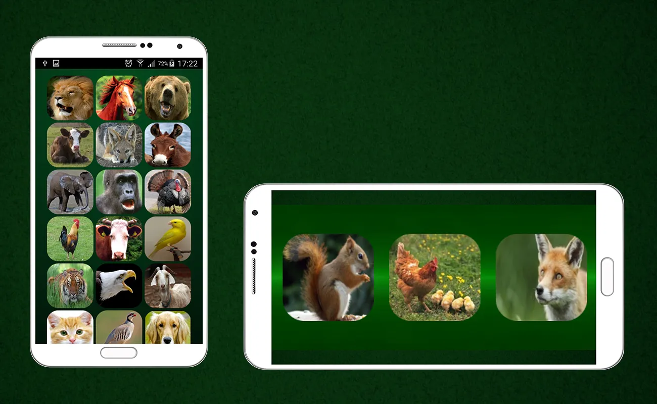 Animal Sounds | Indus Appstore | Screenshot