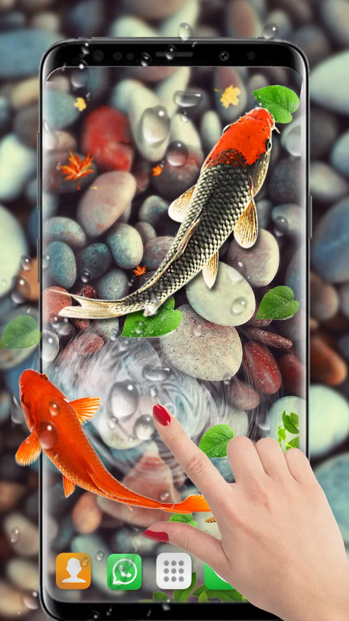 Koi Fish Live Wallpapers HD | Indus Appstore | Screenshot