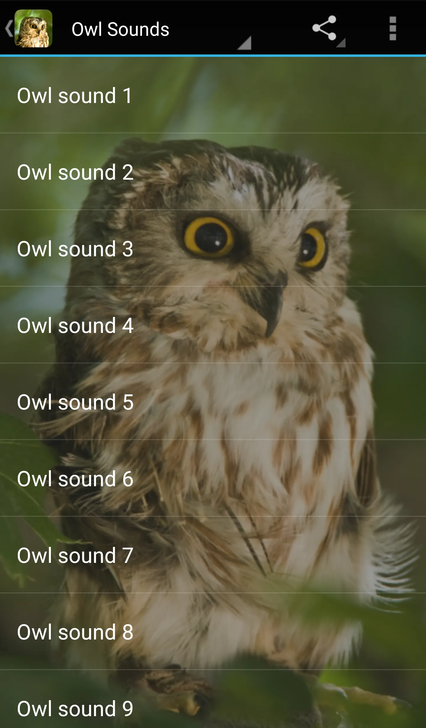 Owl Sounds | Indus Appstore | Screenshot