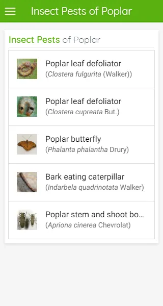 Insect Pests of Poplar | Indus Appstore | Screenshot