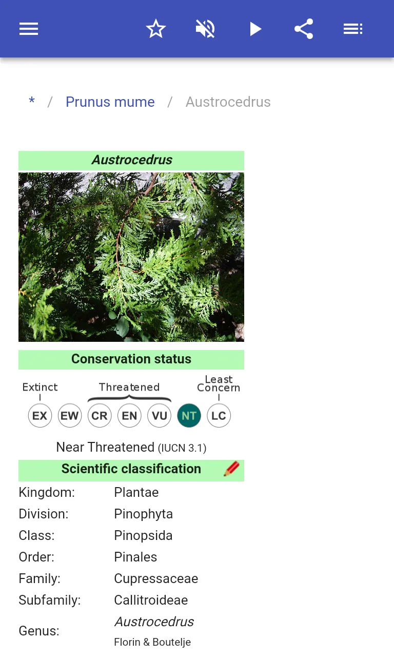 Ornamental trees | Indus Appstore | Screenshot