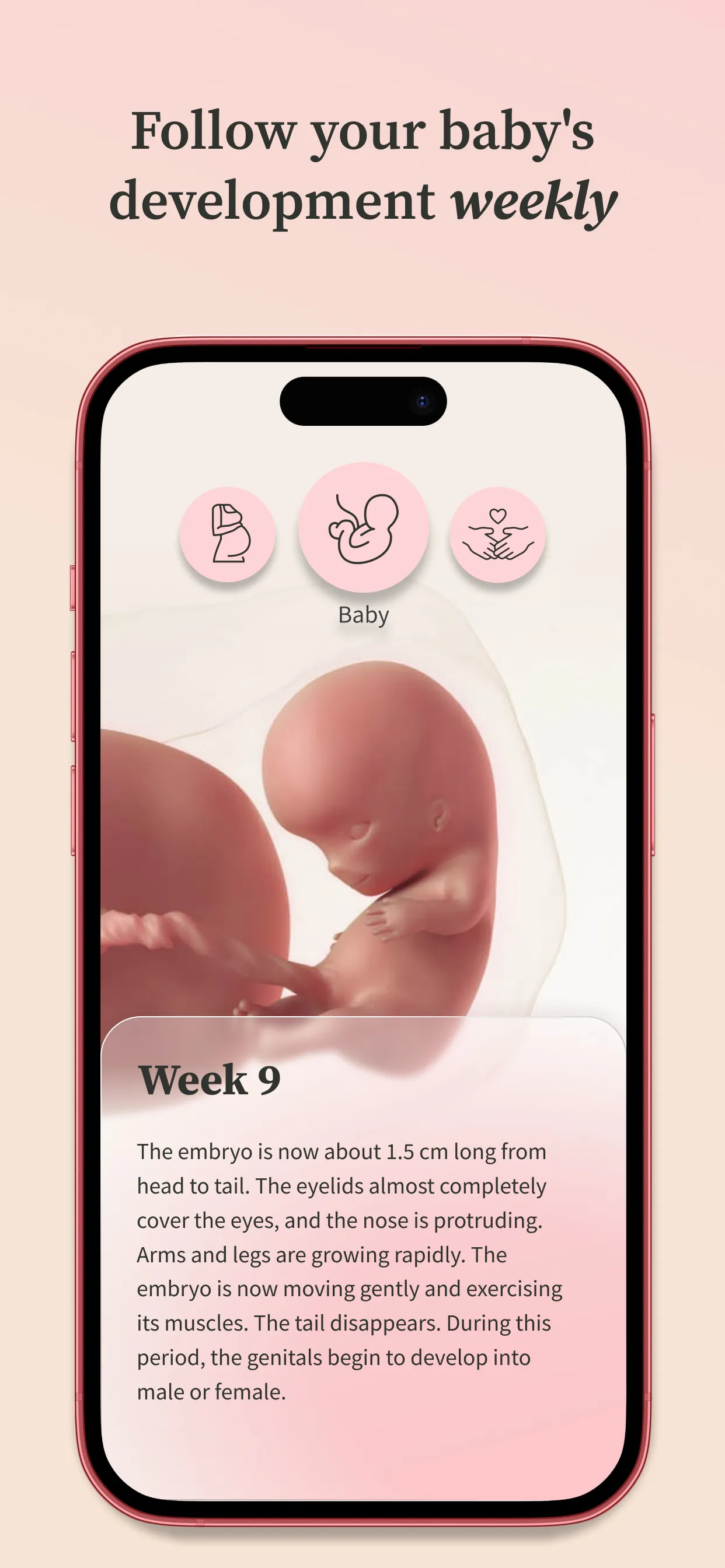 Preglife - Pregnancy Tracker | Indus Appstore | Screenshot