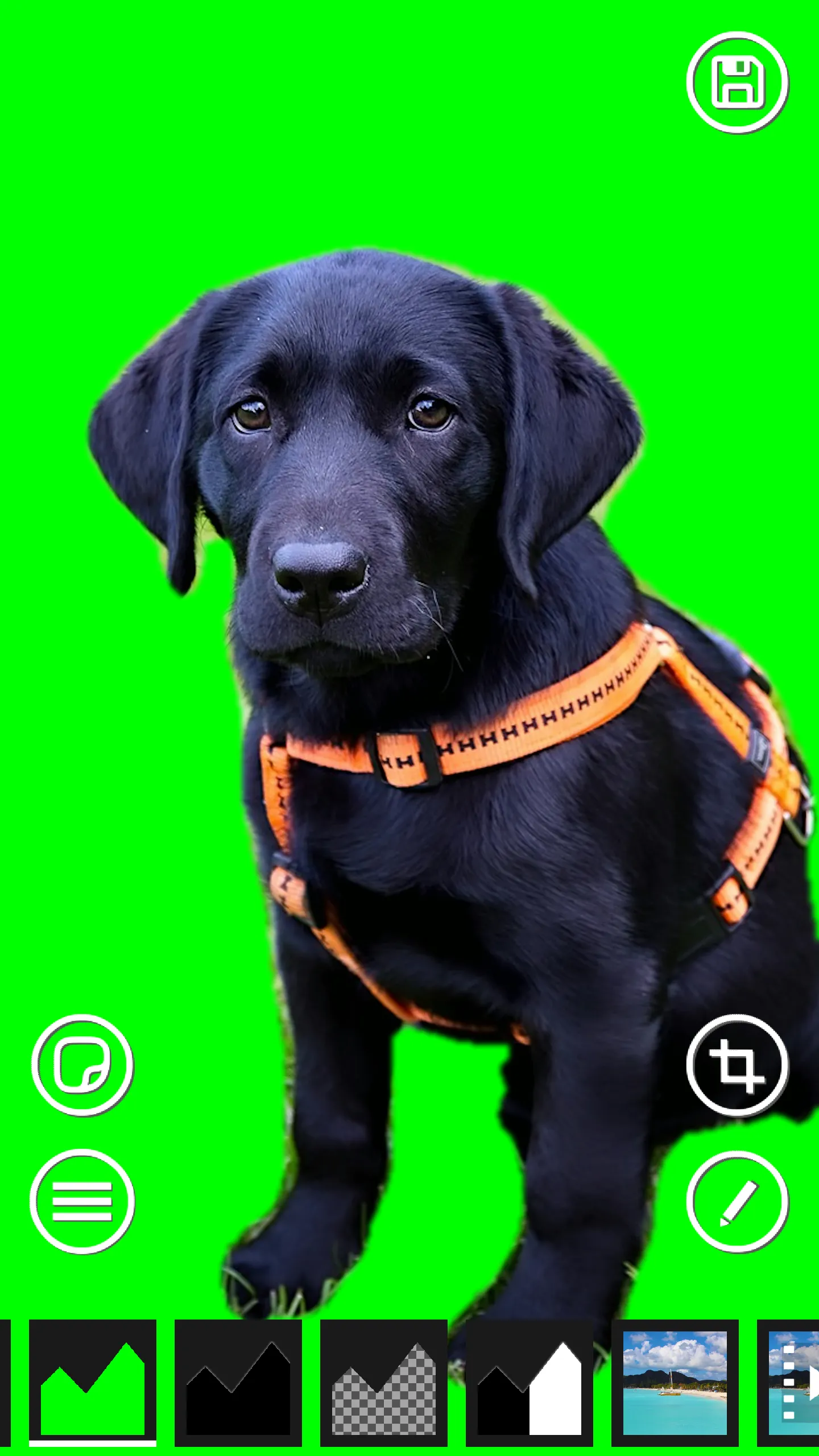 AI Green Screen | Indus Appstore | Screenshot