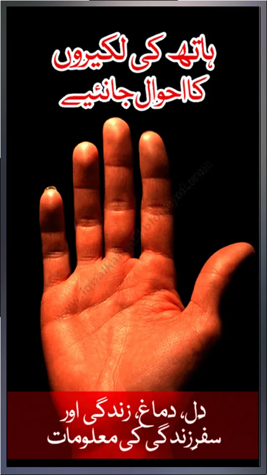 Palmistry | Indus Appstore | Screenshot