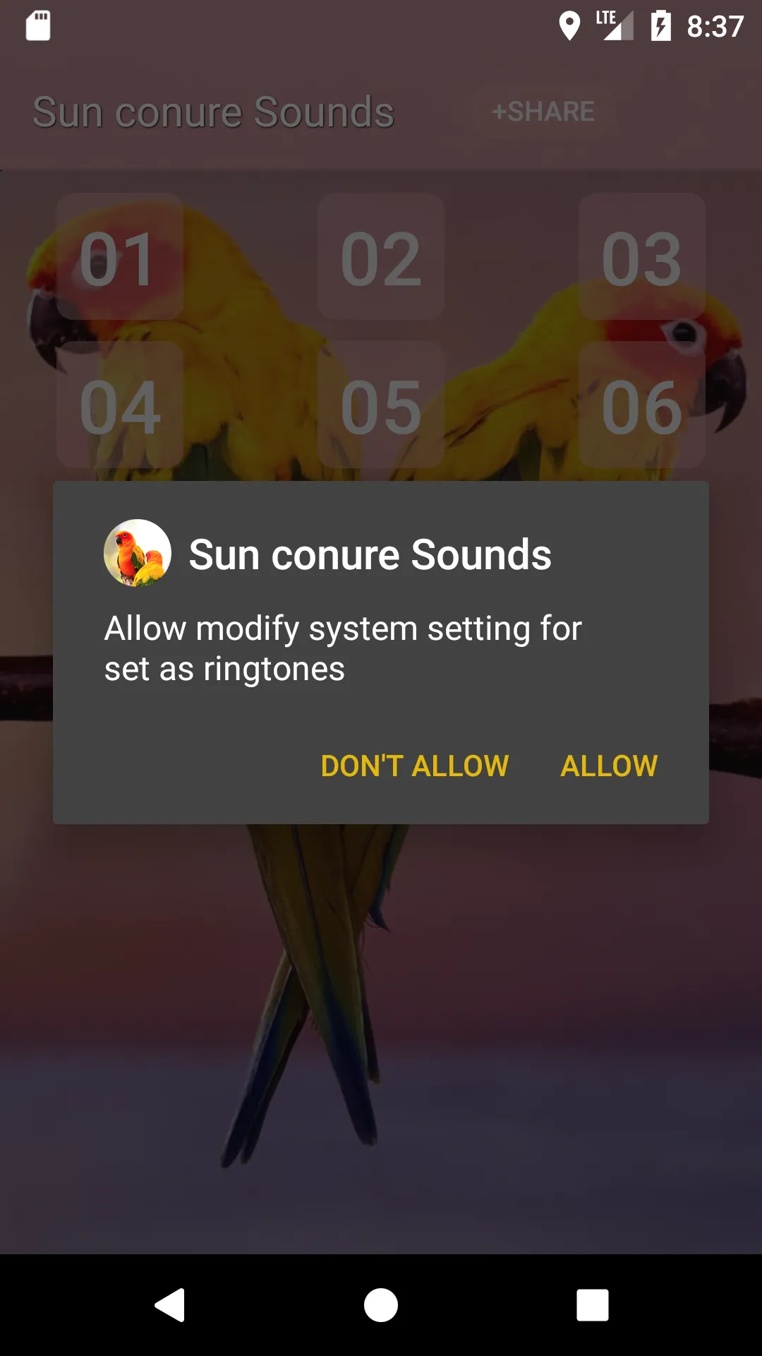 Sun conure bird sounds | Indus Appstore | Screenshot