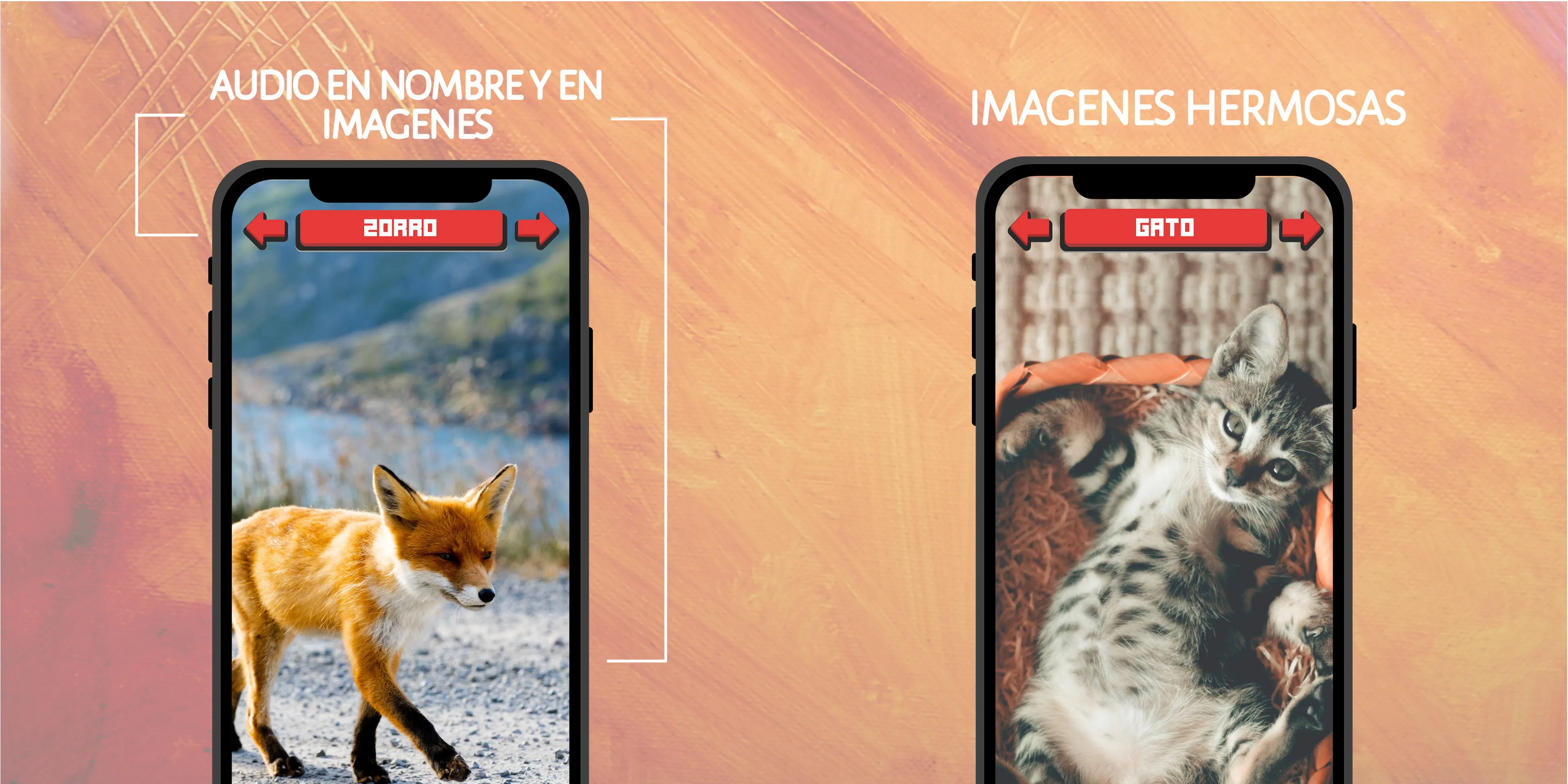 Animales: Sonidos e Imágenes | Indus Appstore | Screenshot