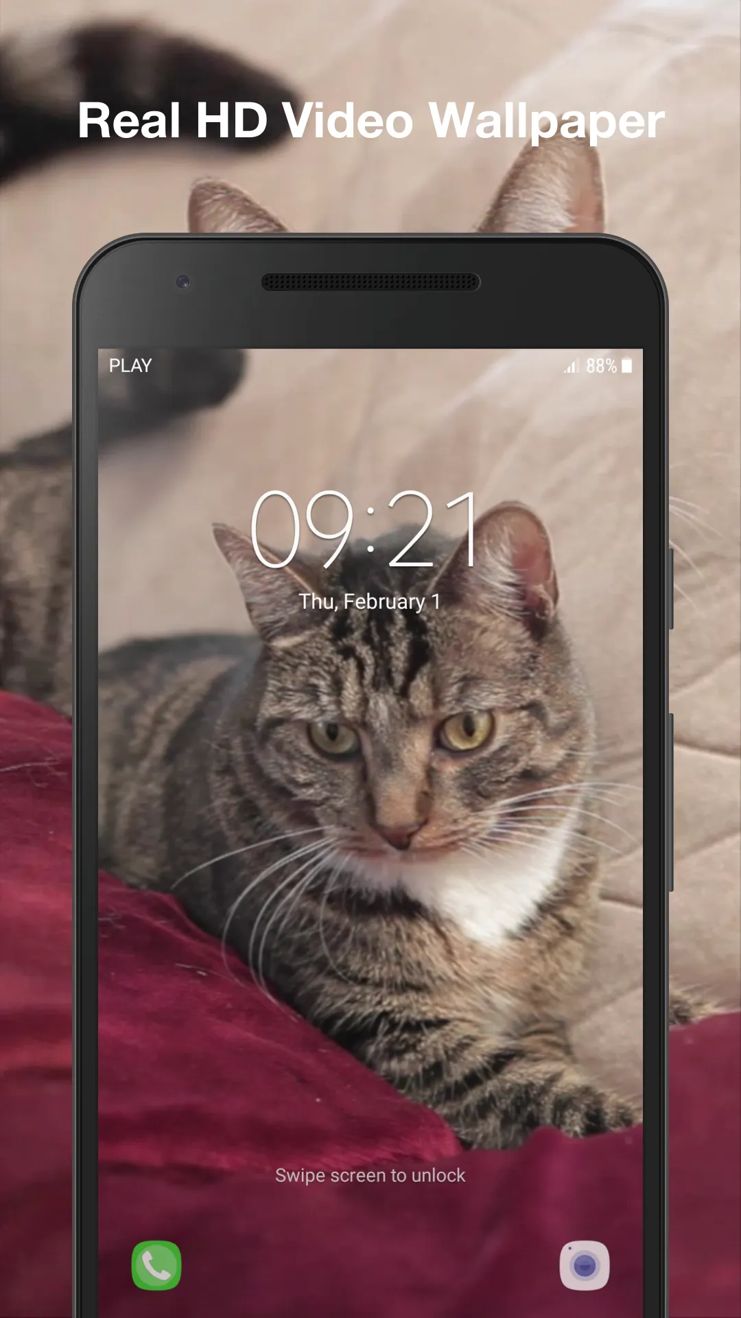 Cute Cat Live Wallpaper | Indus Appstore | Screenshot