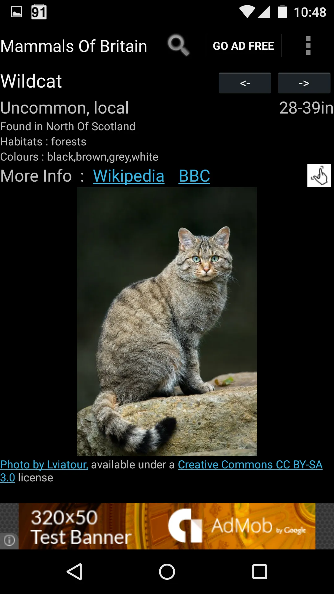 Mammals Of Britain | Indus Appstore | Screenshot