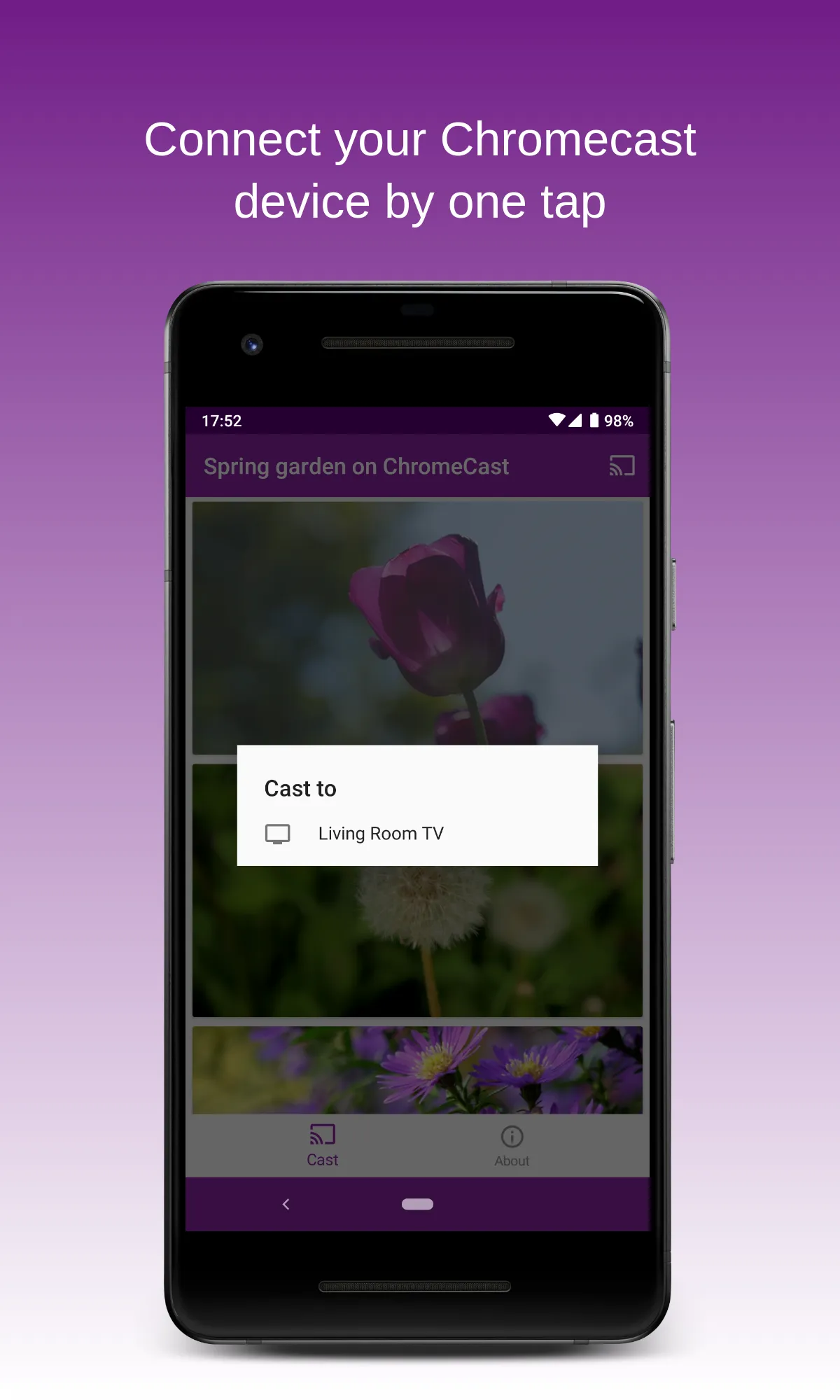 Spring Garden on Chromecast | Indus Appstore | Screenshot