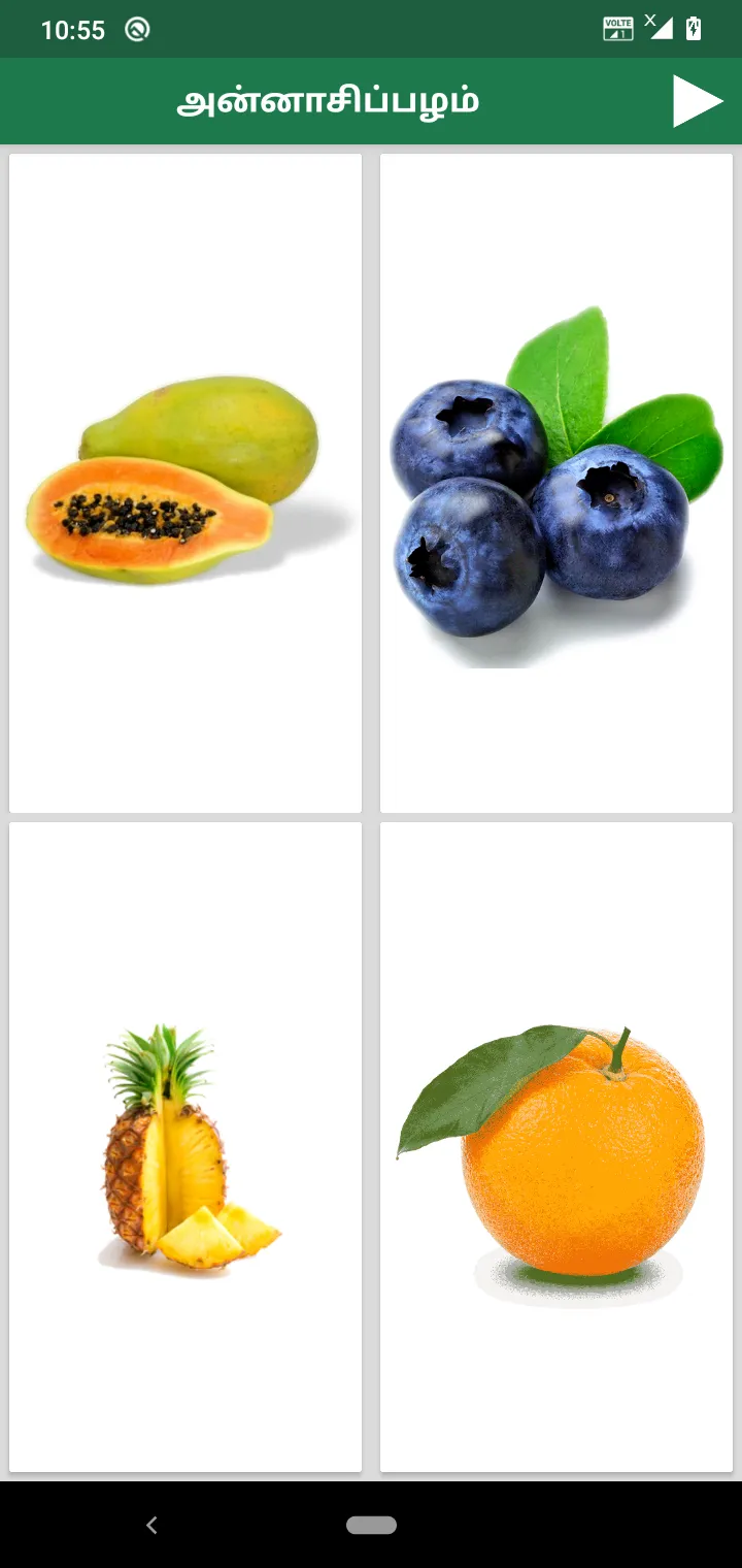 Fruits and Vegetables in Tamil | Indus Appstore | Screenshot