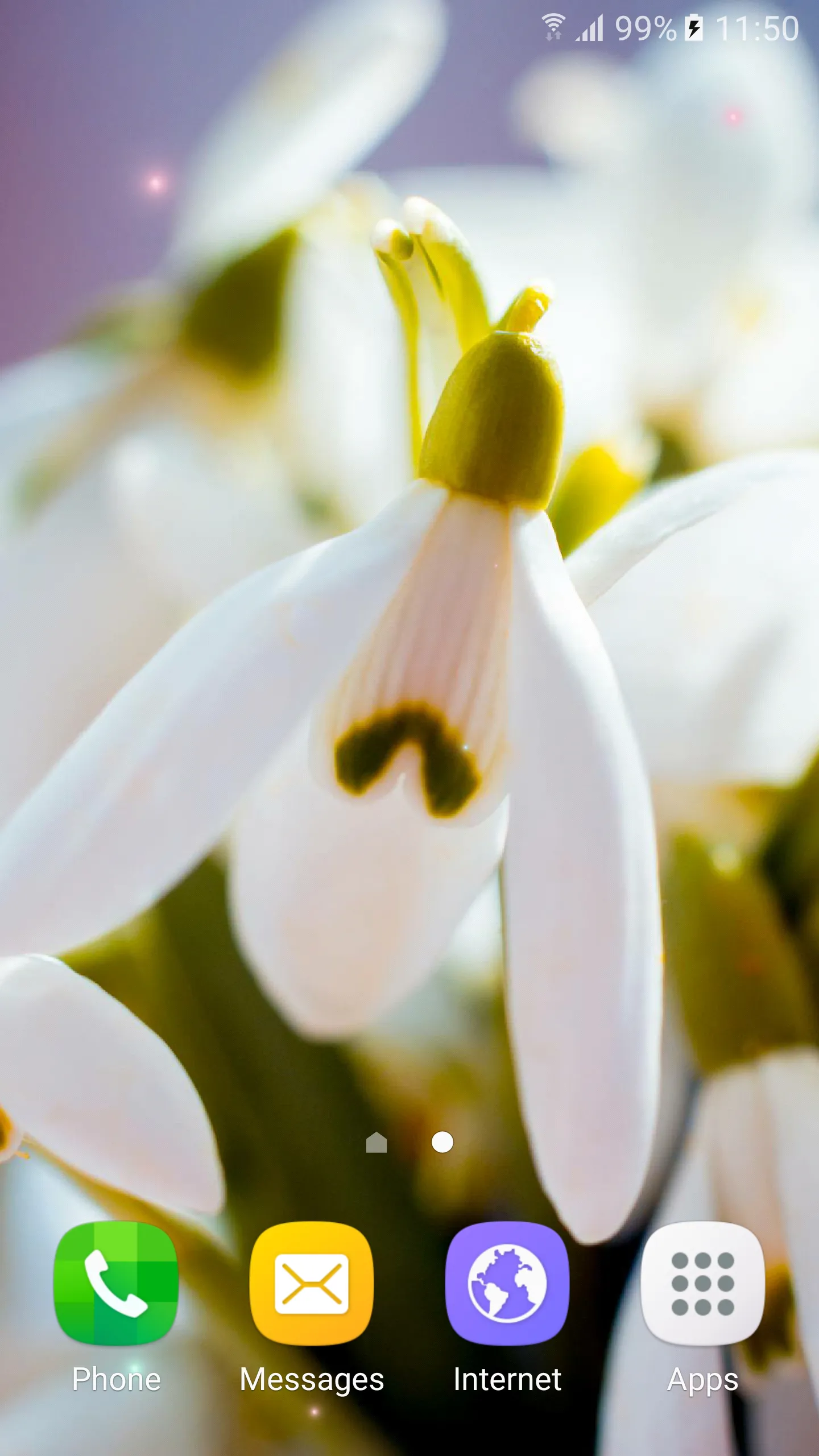 Spring Flowers Live Wallpaper | Indus Appstore | Screenshot