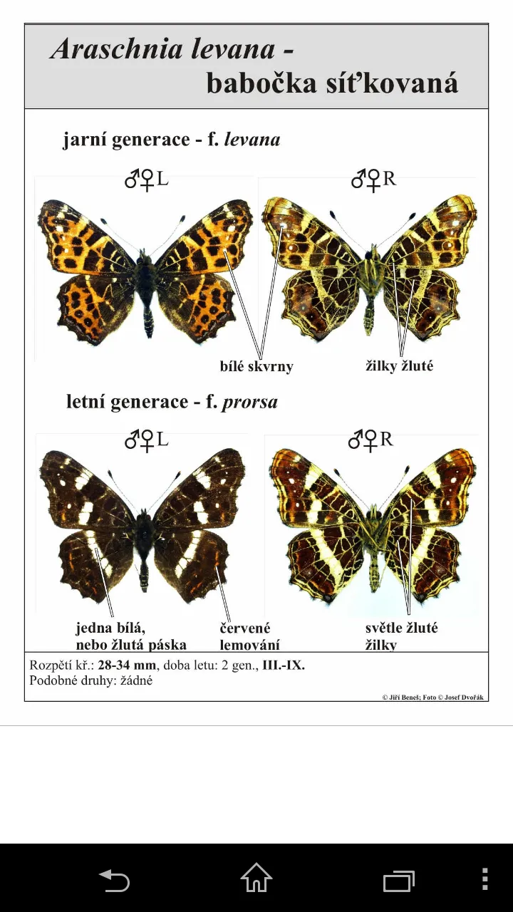 Atlas of Czech Butterflies | Indus Appstore | Screenshot