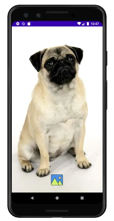 Fondos de Pantalla de Perros P | Indus Appstore | Screenshot