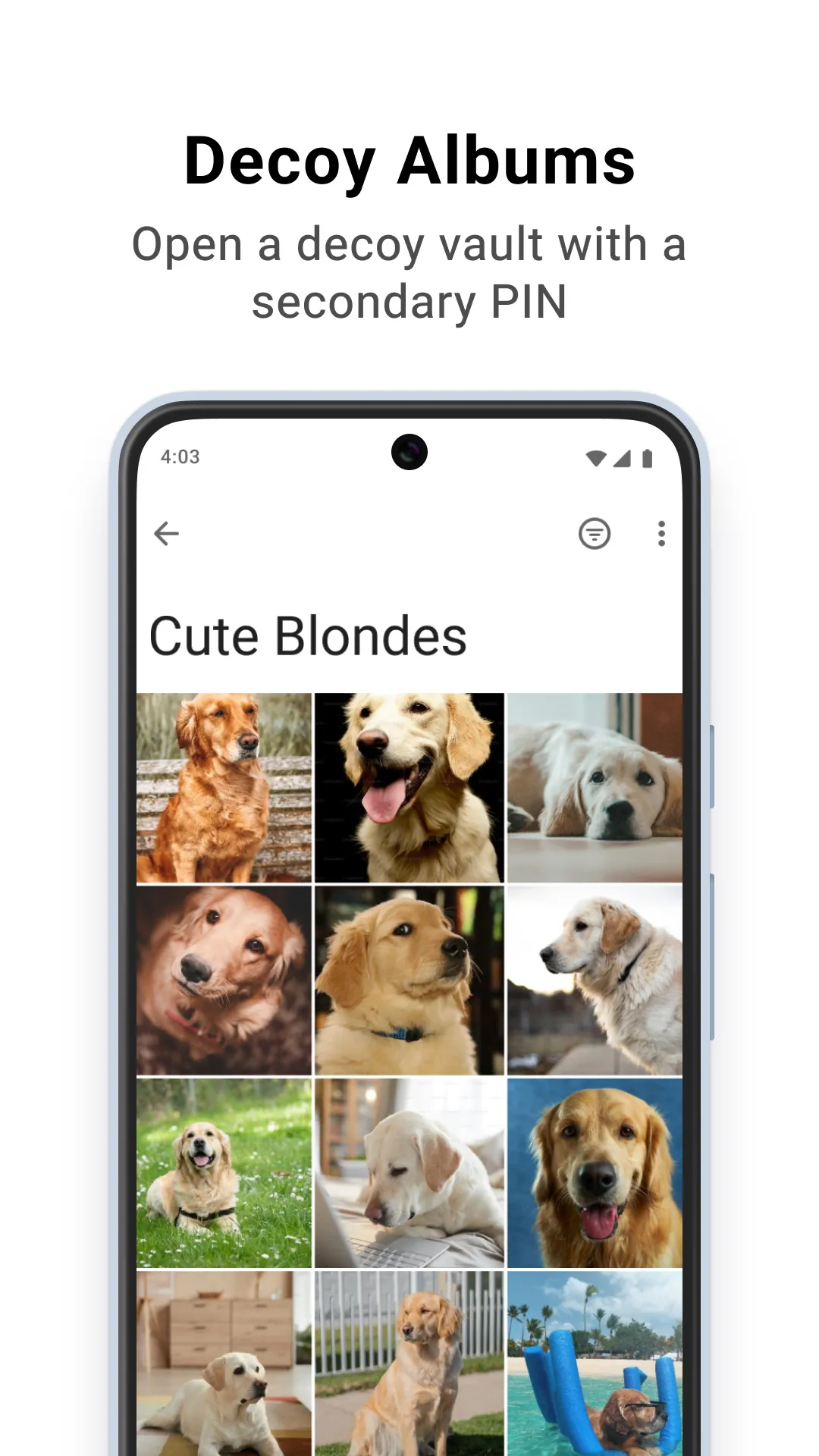 Private Photo Vault - Keepsafe | Indus Appstore | Screenshot