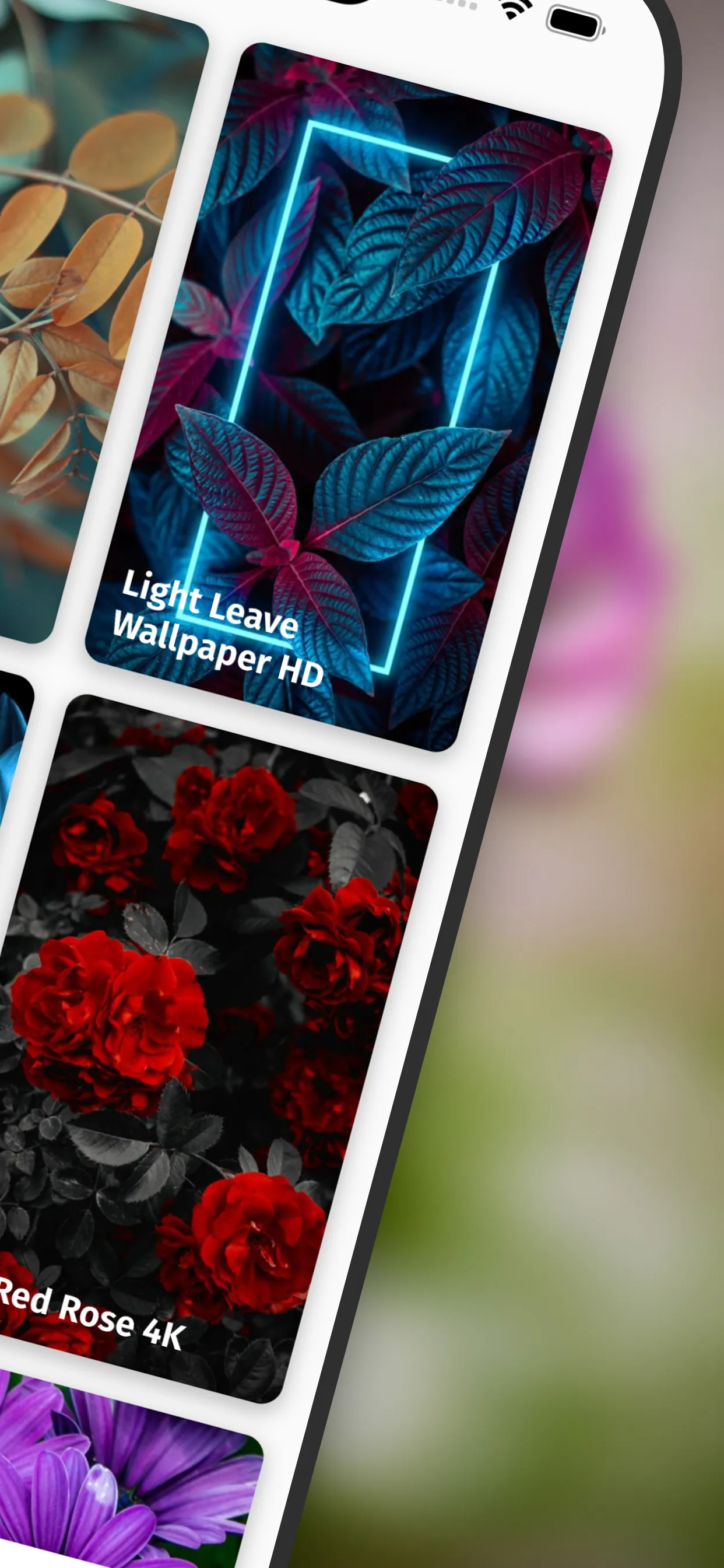 Cool Flower Wallpapers 4K | HD | Indus Appstore | Screenshot