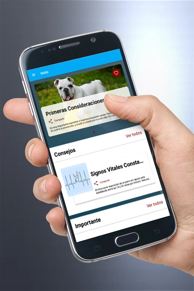 Veterinario En Casa - Perros | Indus Appstore | Screenshot