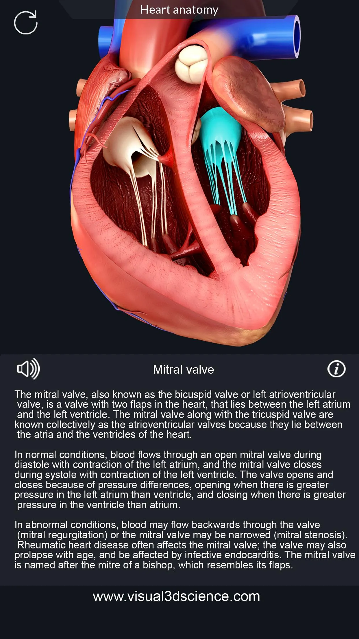 Heart Anatomy Pro. | Indus Appstore | Screenshot