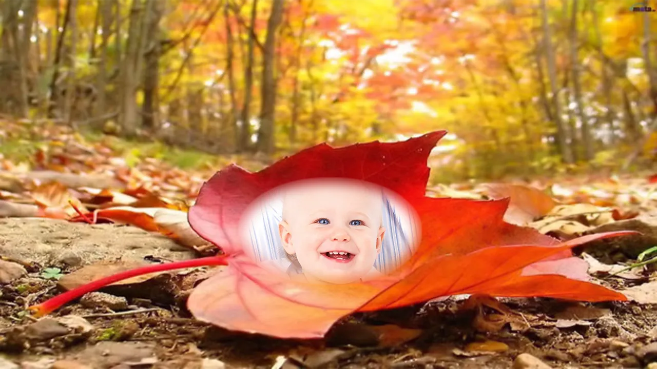 Colorfull Autumn Photo Frames | Indus Appstore | Screenshot