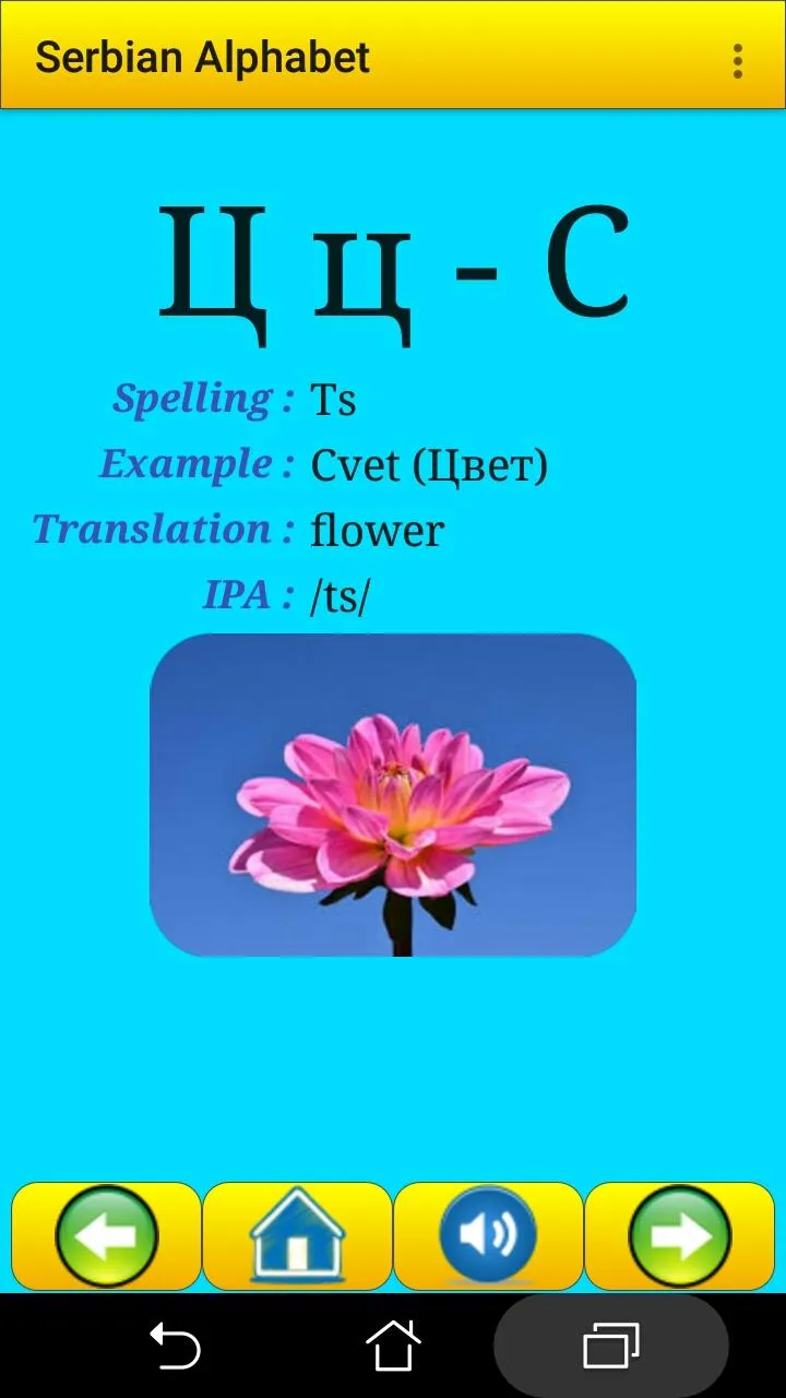 Serbian alphabet for students | Indus Appstore | Screenshot
