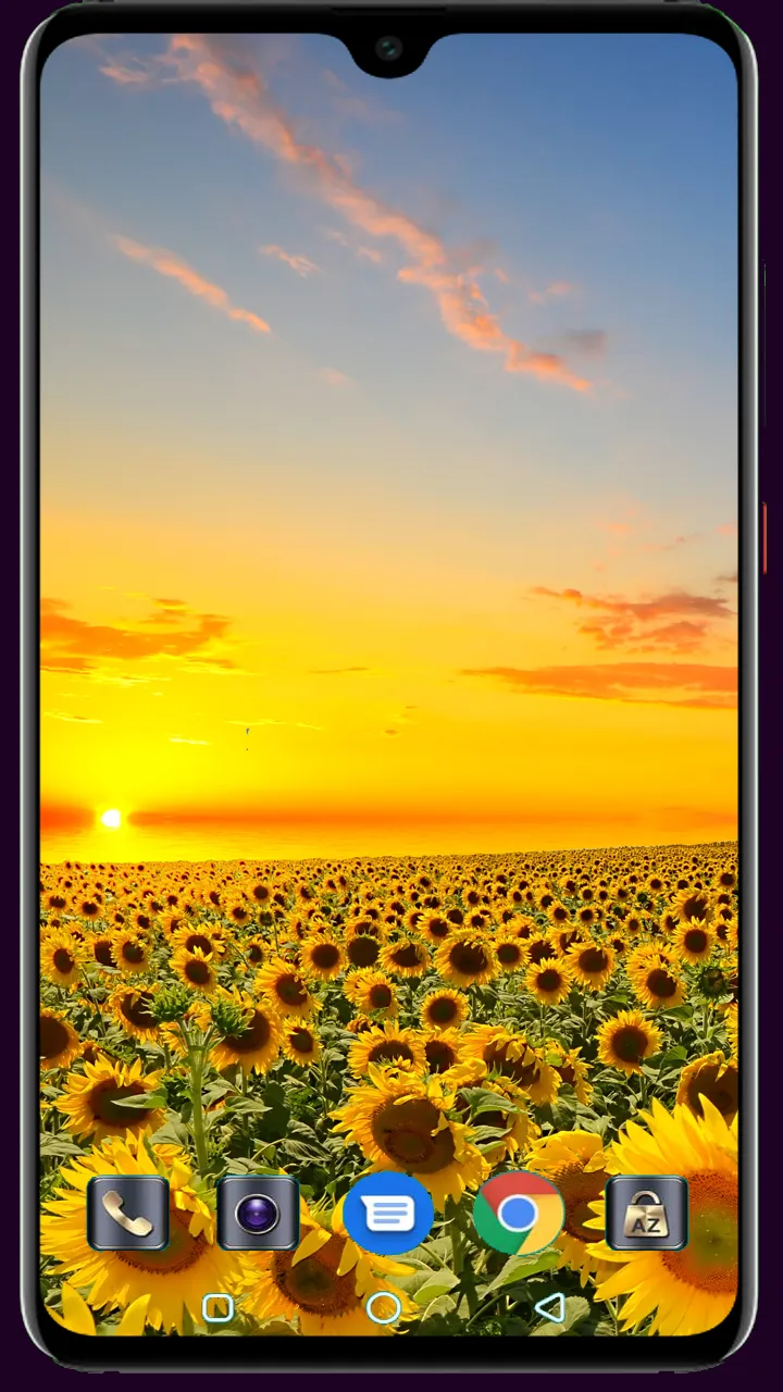 Sunflower Wallpaper | Indus Appstore | Screenshot