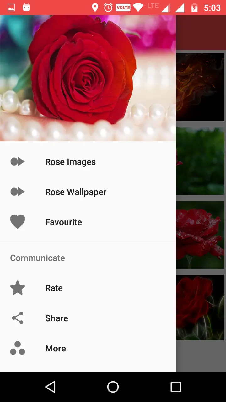 Rose Wallpaper HD | Indus Appstore | Screenshot