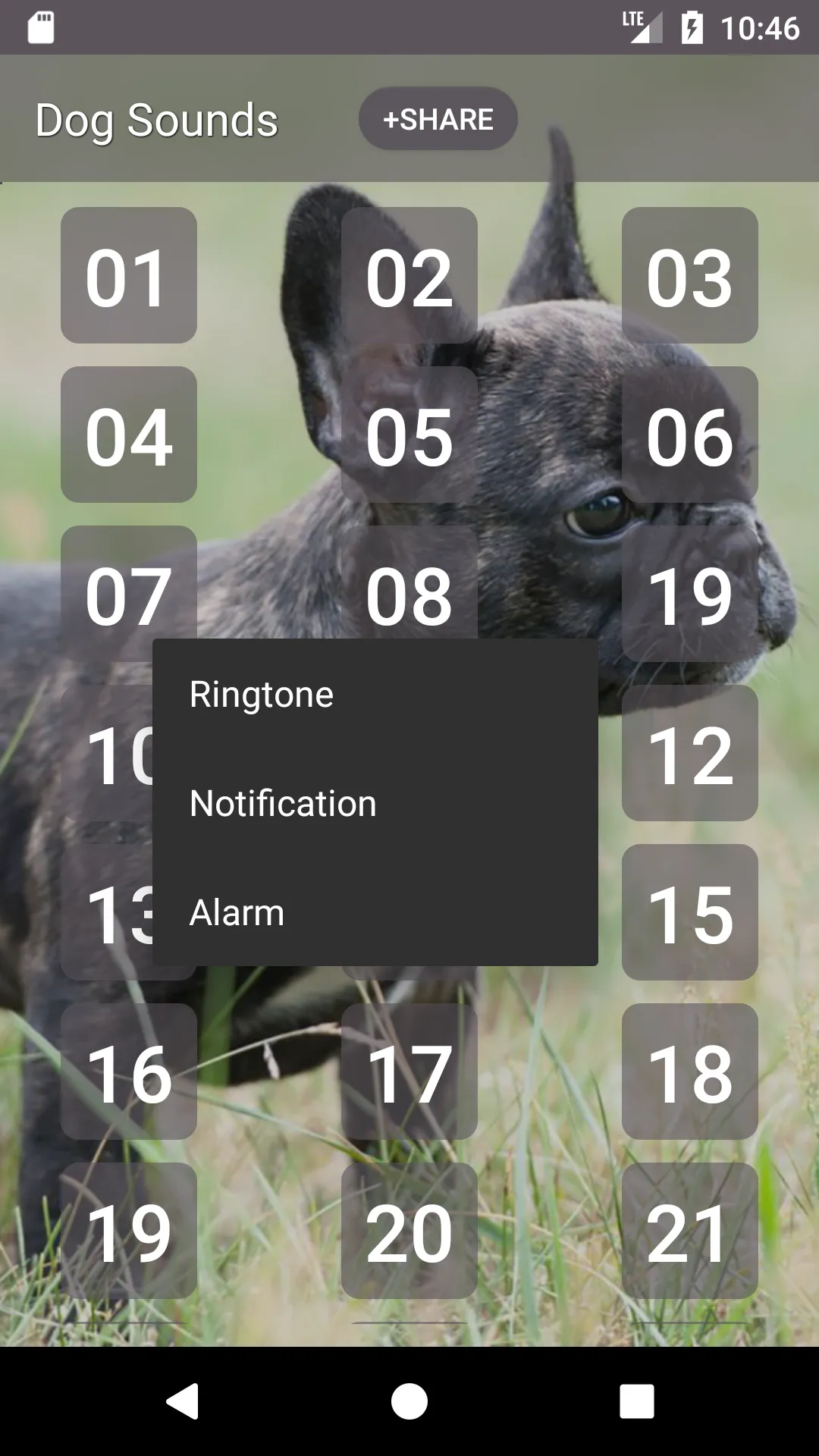 Dog Soundboard | Indus Appstore | Screenshot