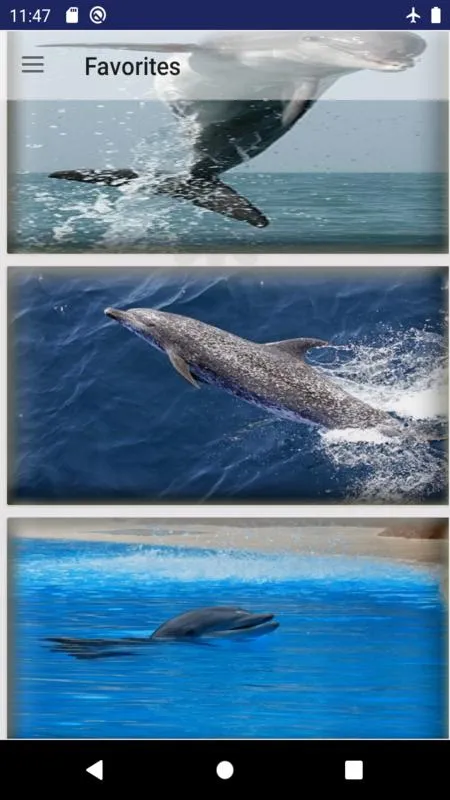 dolphin fish wallpaper | Indus Appstore | Screenshot