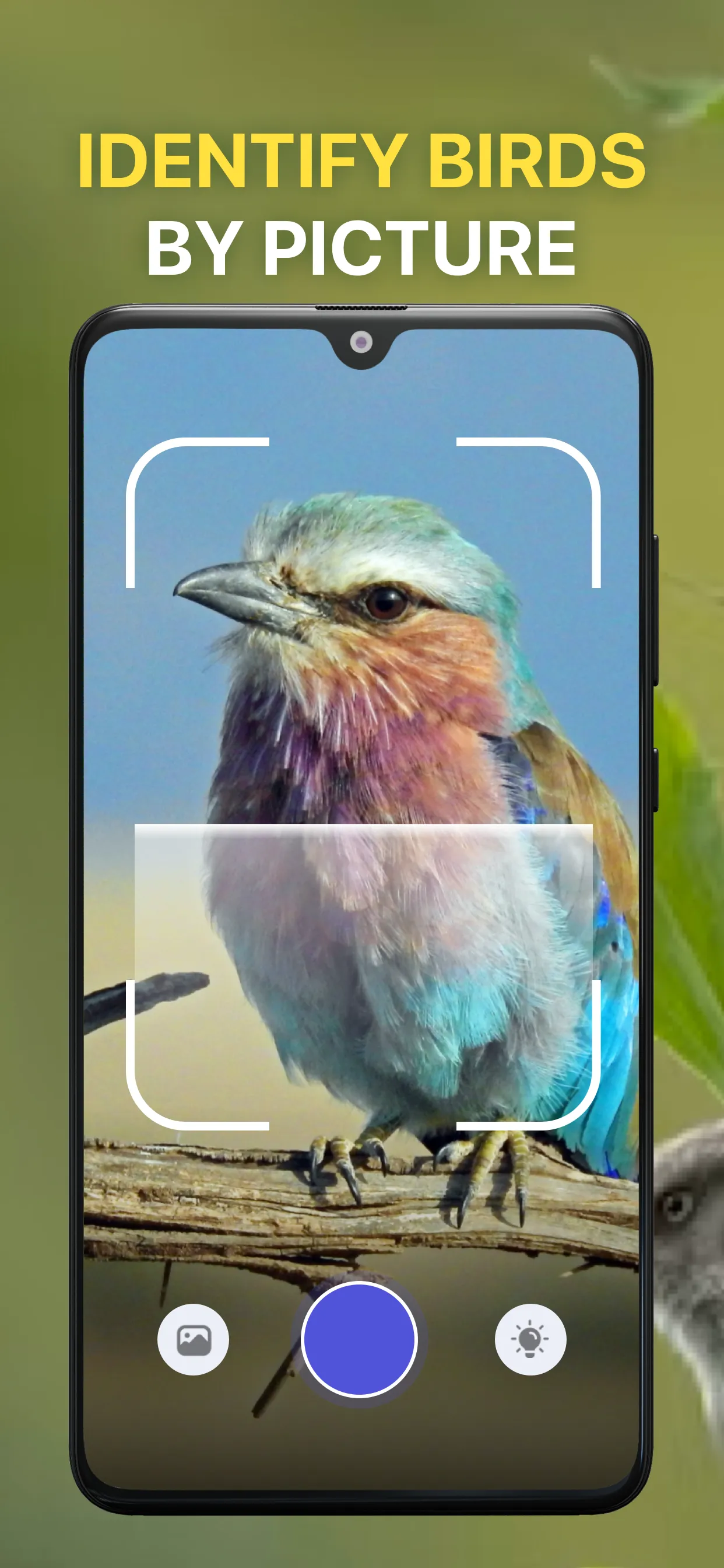Bird Sound Identifier Bird ID | Indus Appstore | Screenshot