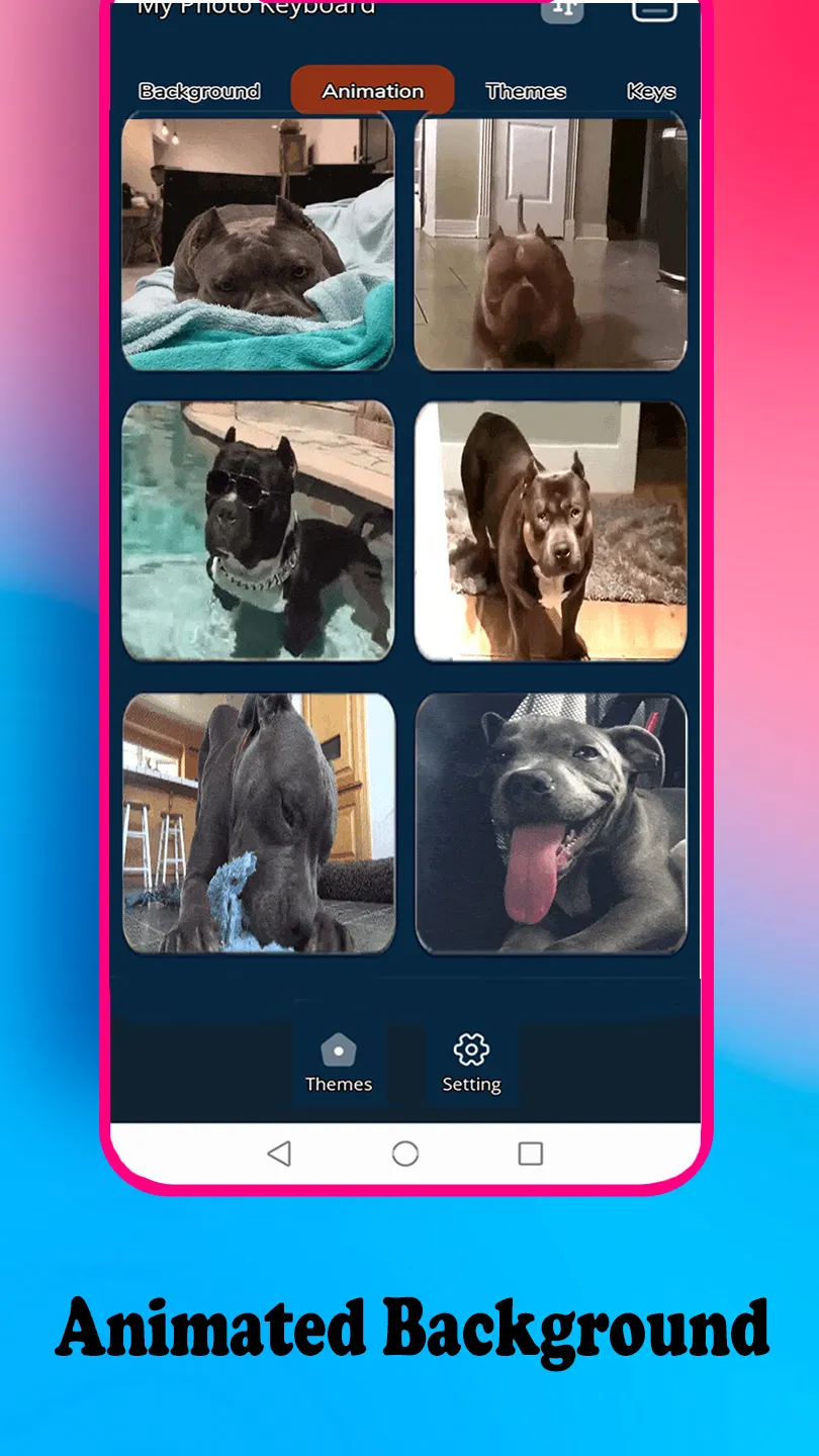 American Bully Keyboard | Indus Appstore | Screenshot