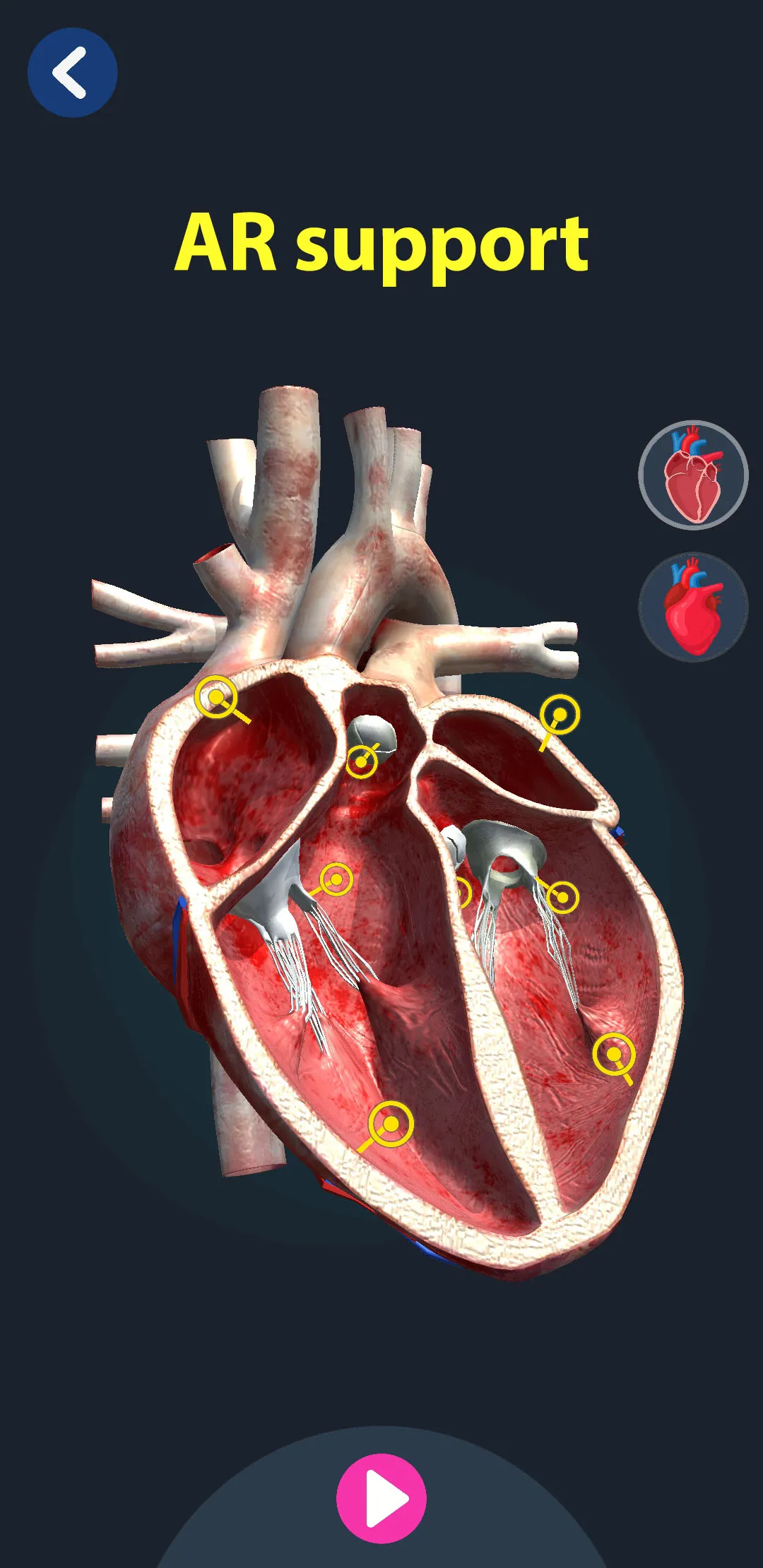 Human Anatomy 3D | Indus Appstore | Screenshot