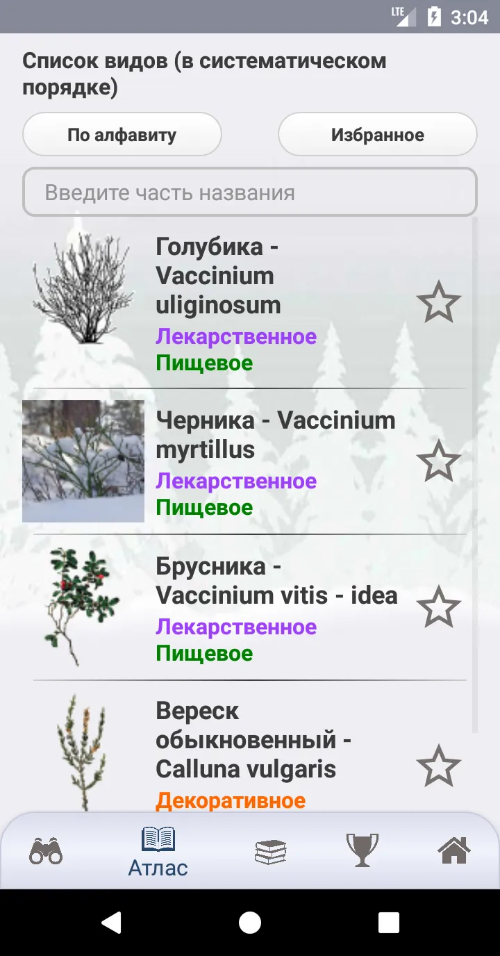 EcoGuide: Trees in Winter | Indus Appstore | Screenshot