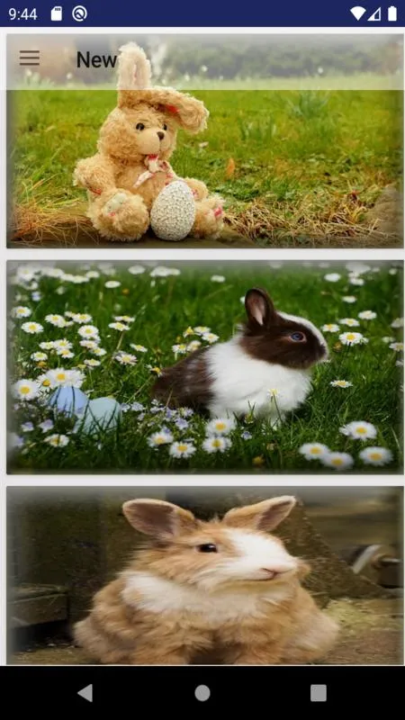 Hares photo wallpaper | Indus Appstore | Screenshot