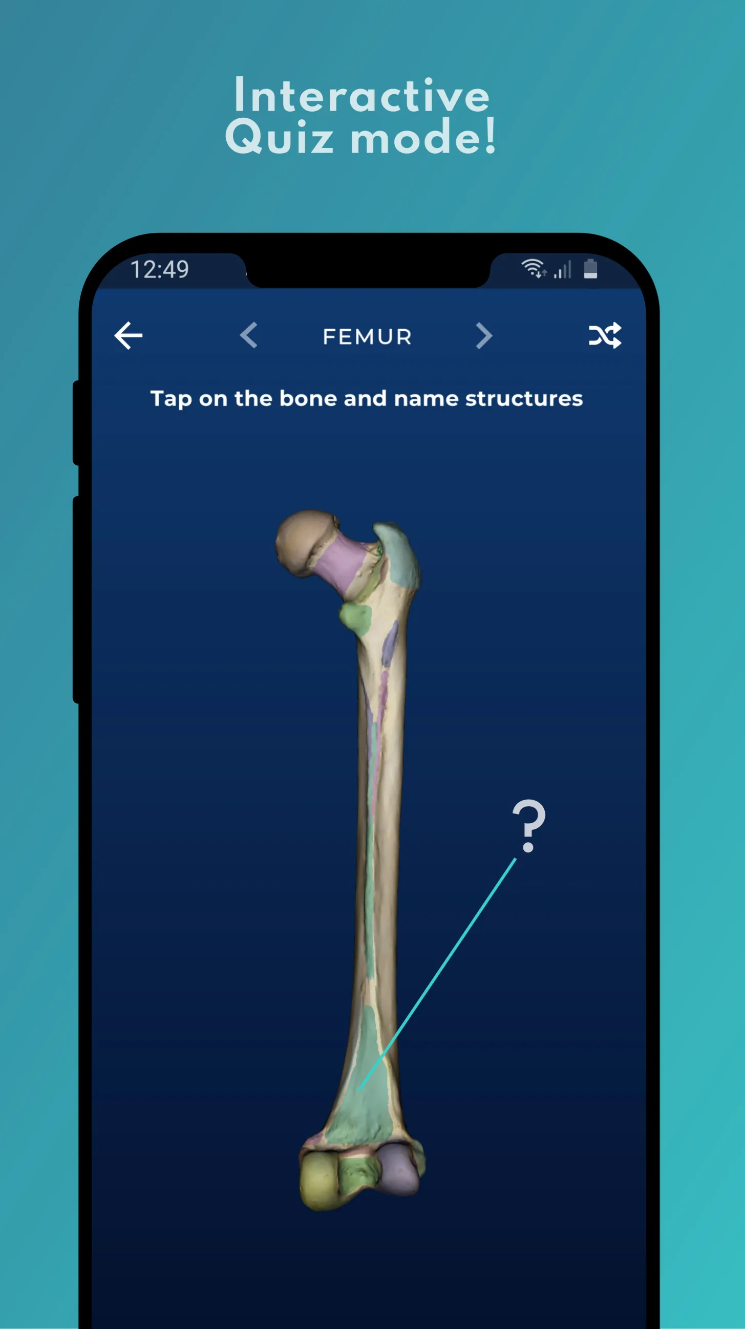 Skelviewer: 100% bone markings | Indus Appstore | Screenshot