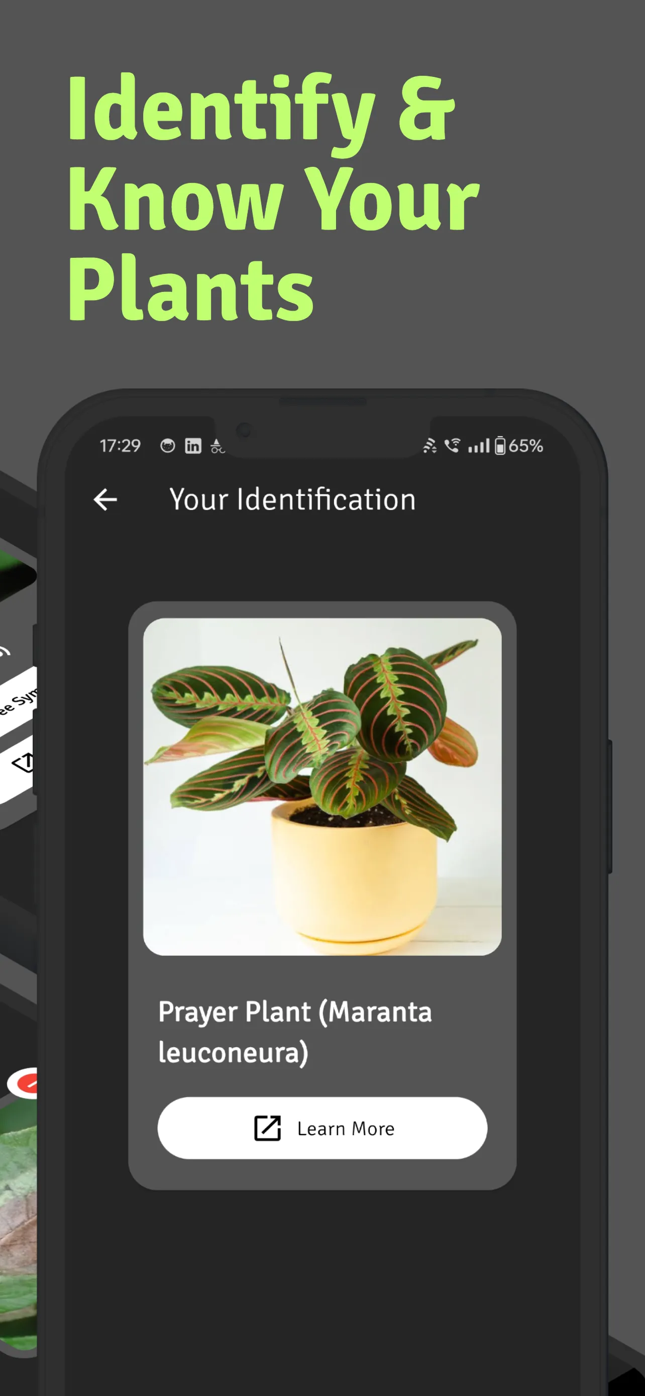 Agent Crop: AI for Agriculture | Indus Appstore | Screenshot