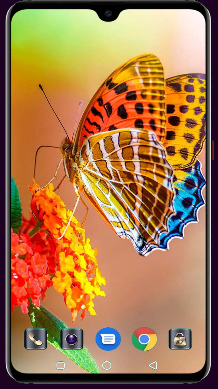 Butterfly Wallpaper | Indus Appstore | Screenshot