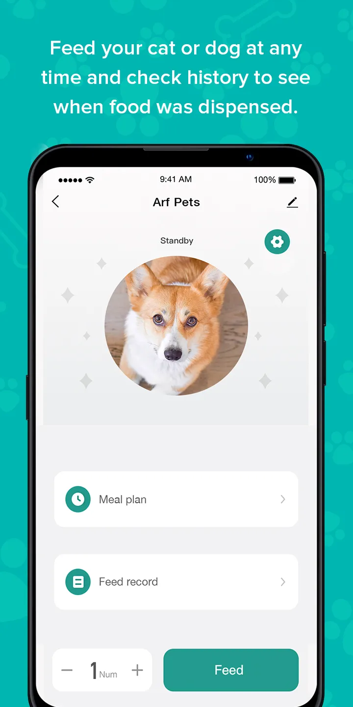 Arf Pets | Indus Appstore | Screenshot