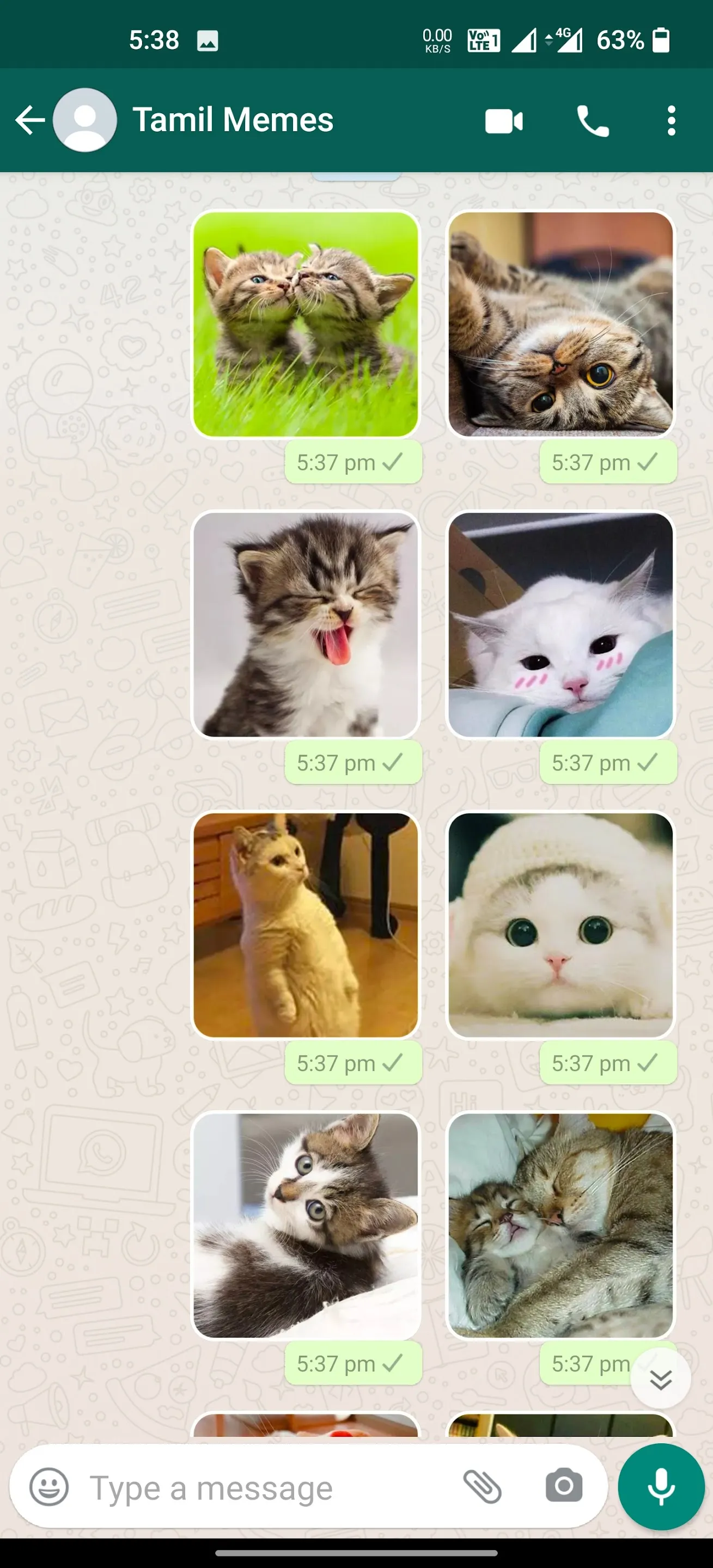 Cat Stickers | WAStickerApps | Indus Appstore | Screenshot