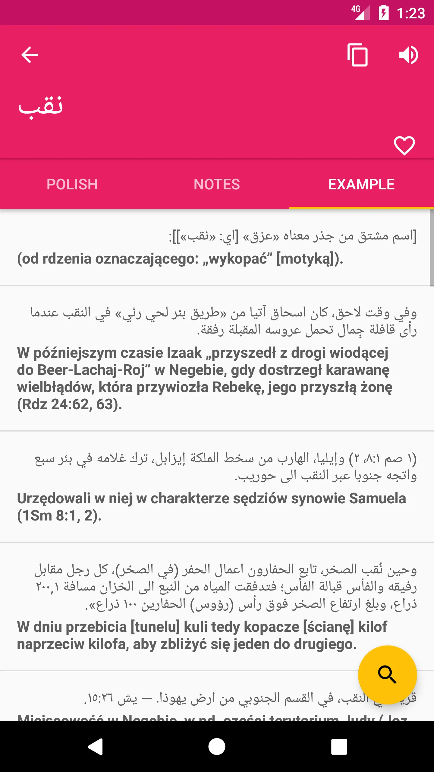 Arabic Polish Dictionary | Indus Appstore | Screenshot