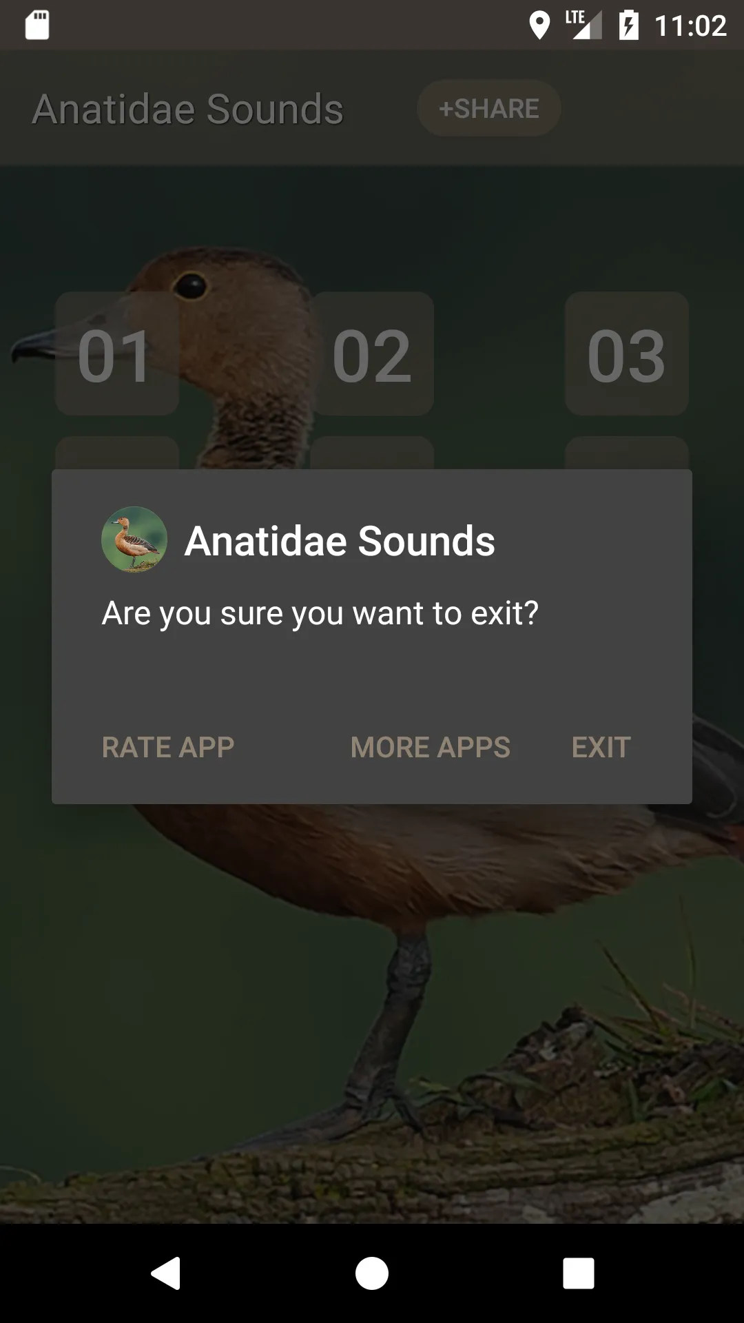 Anatidae Sound | Indus Appstore | Screenshot