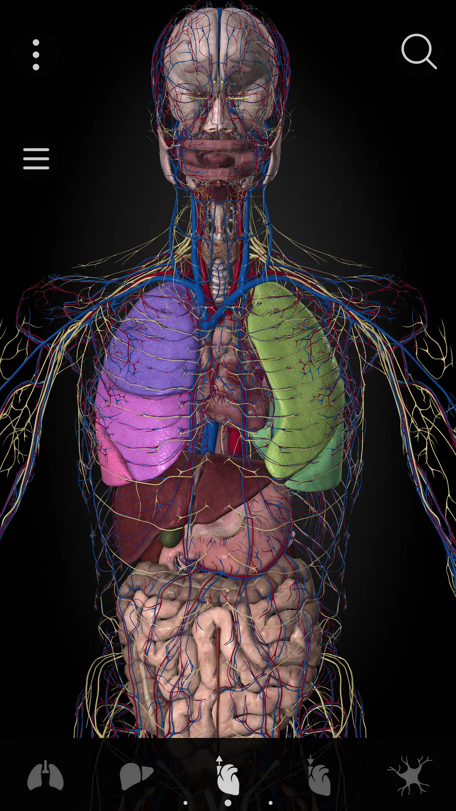 Anatomyka - 3D Anatomy Atlas | Indus Appstore | Screenshot