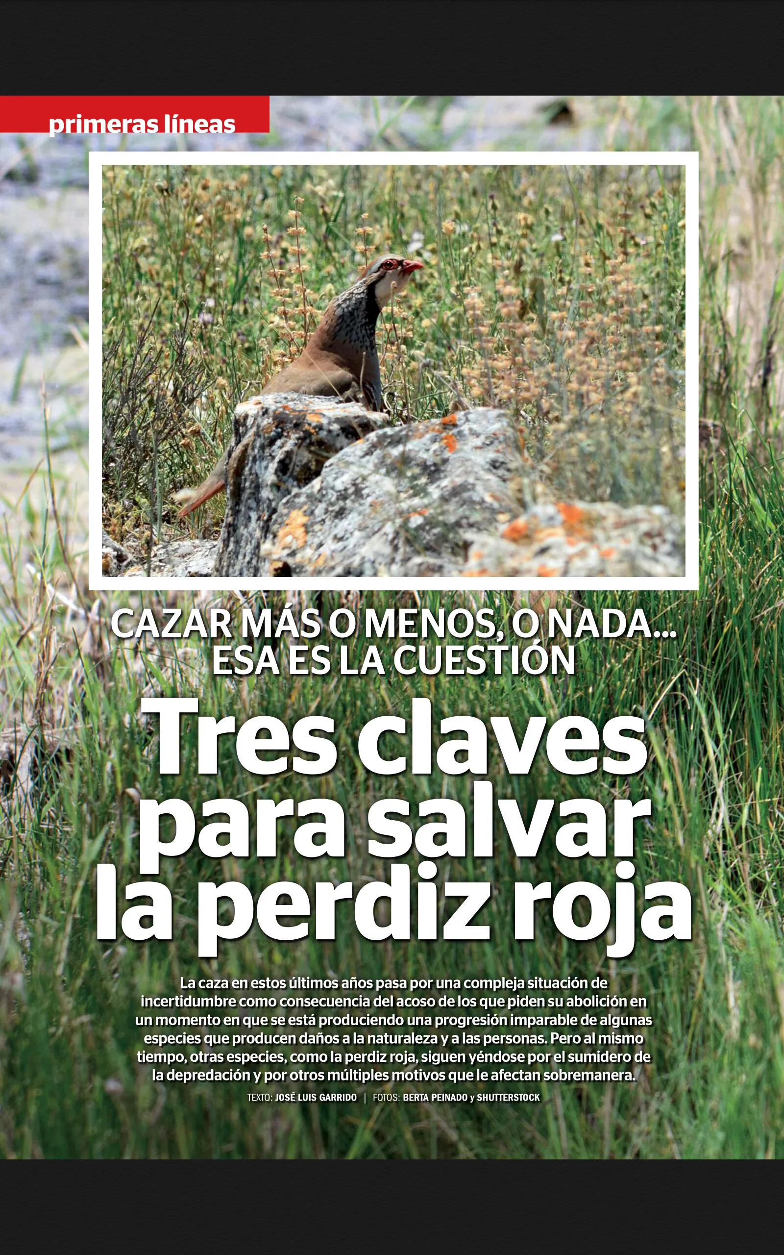 Federcaza Revista | Indus Appstore | Screenshot