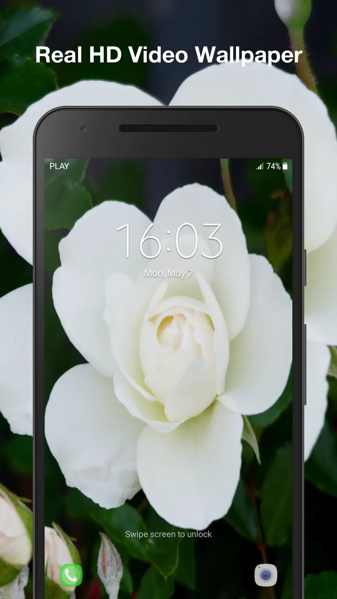 White Rose Live Wallpaper | Indus Appstore | Screenshot